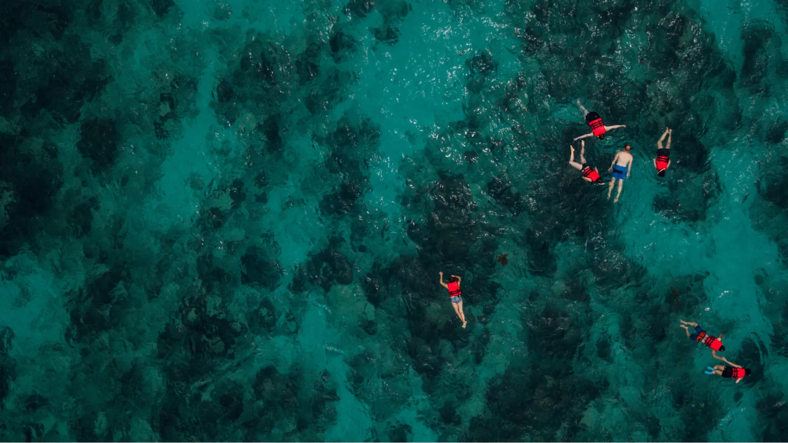 Aerial view of snorkelers floating over dark reef patches in clear turquoise ocean water